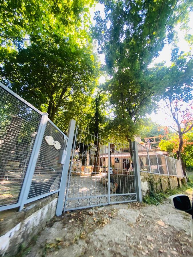 B&B Rifugio Angelina Vietri Ngoại thất bức ảnh
