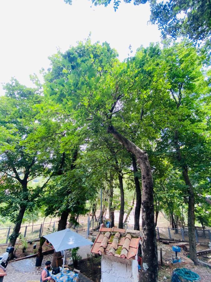 B&B Rifugio Angelina Vietri Ngoại thất bức ảnh